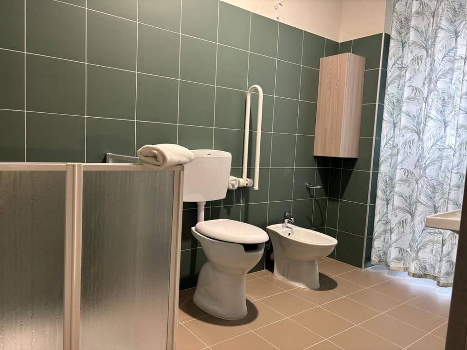 Toilet, Facility for disabled guests