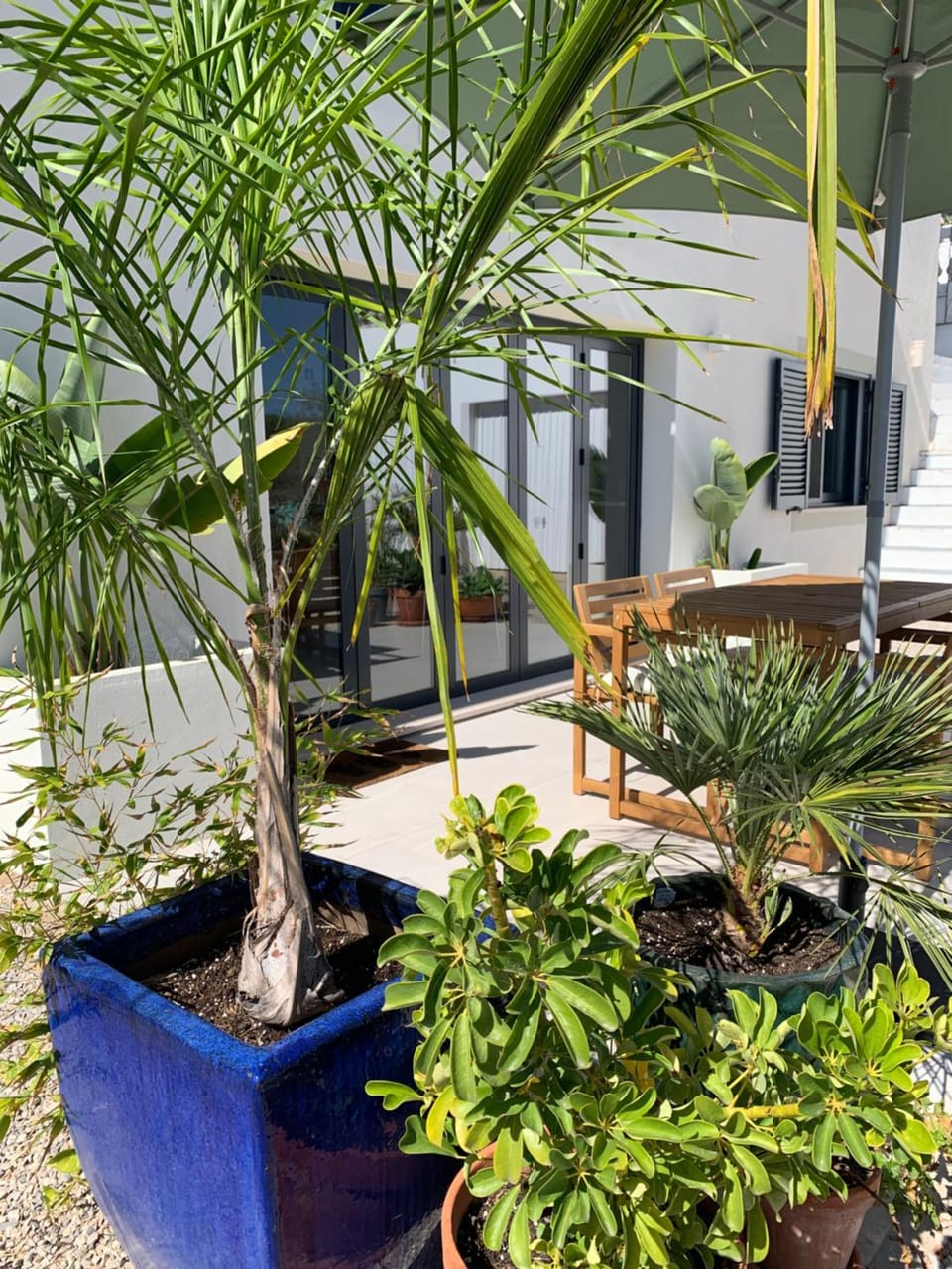 A Tranquil Garden Apartment, Carvoeiro - Benagil Apartment in Carvoeiro