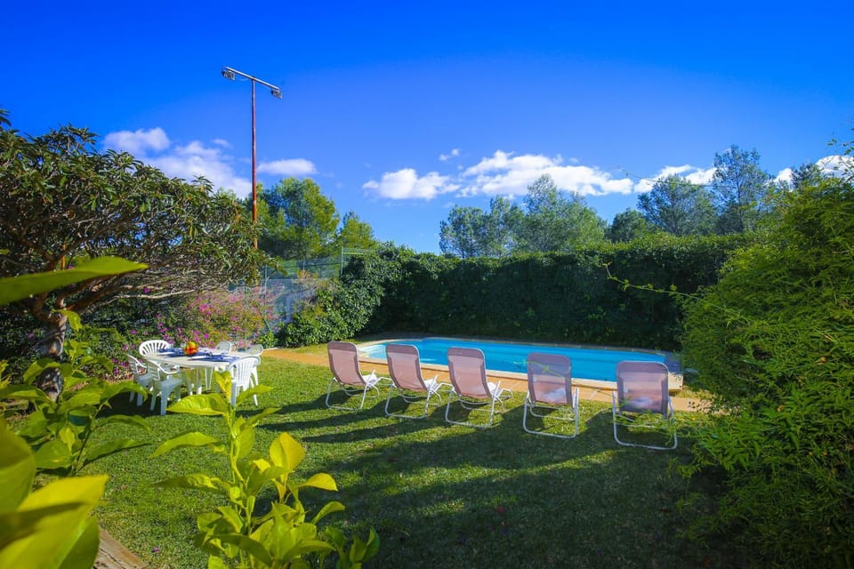 Patio, Garden, Garden view