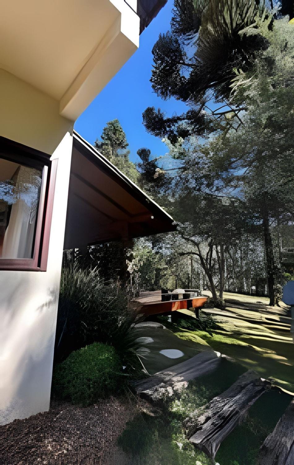 Garden view
