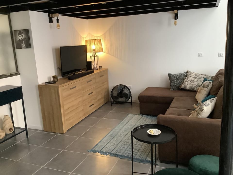 Appartement loft 60 m2 centre ville Apartment in Occitanie