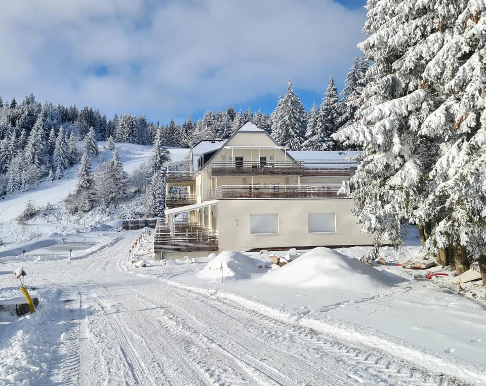 Property building, Day, Natural landscape, Winter