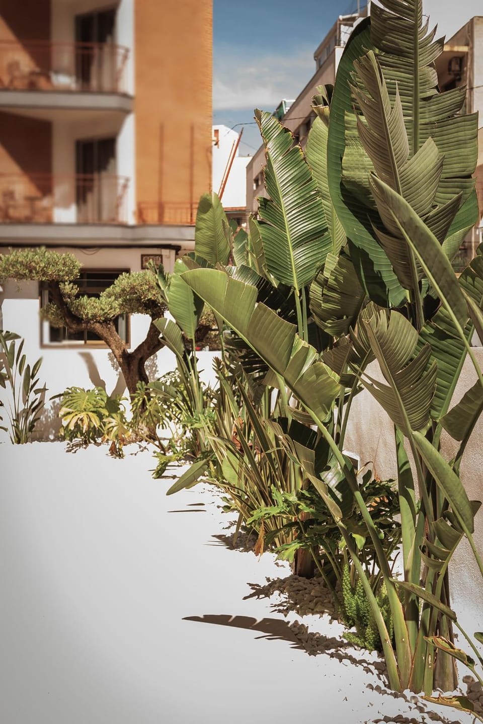 Garden, Swimming pool