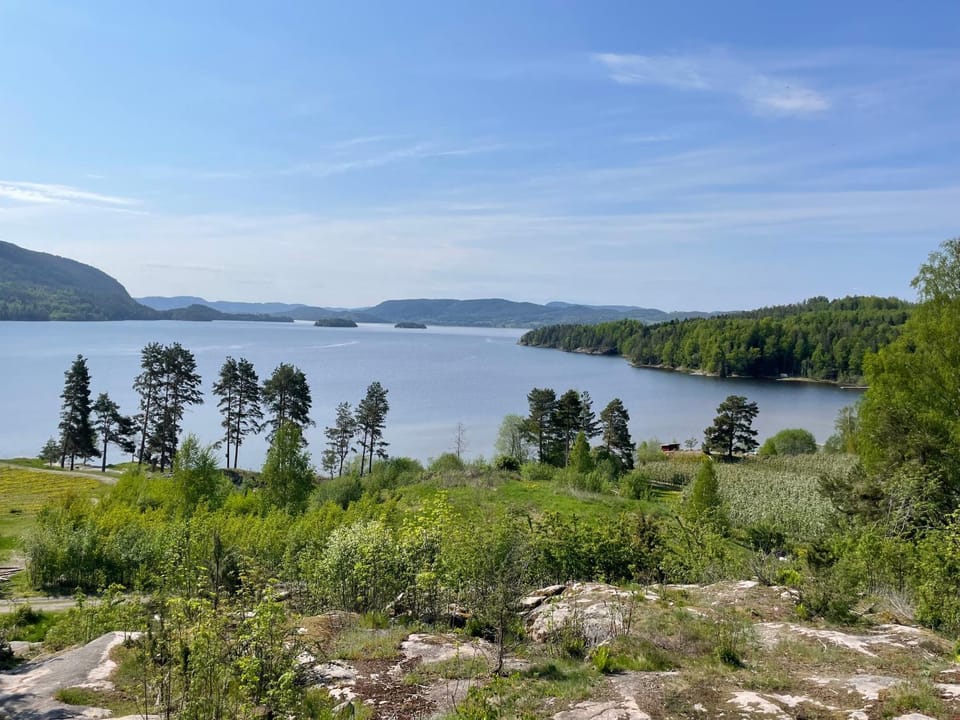 Spring, Natural landscape, Lake view