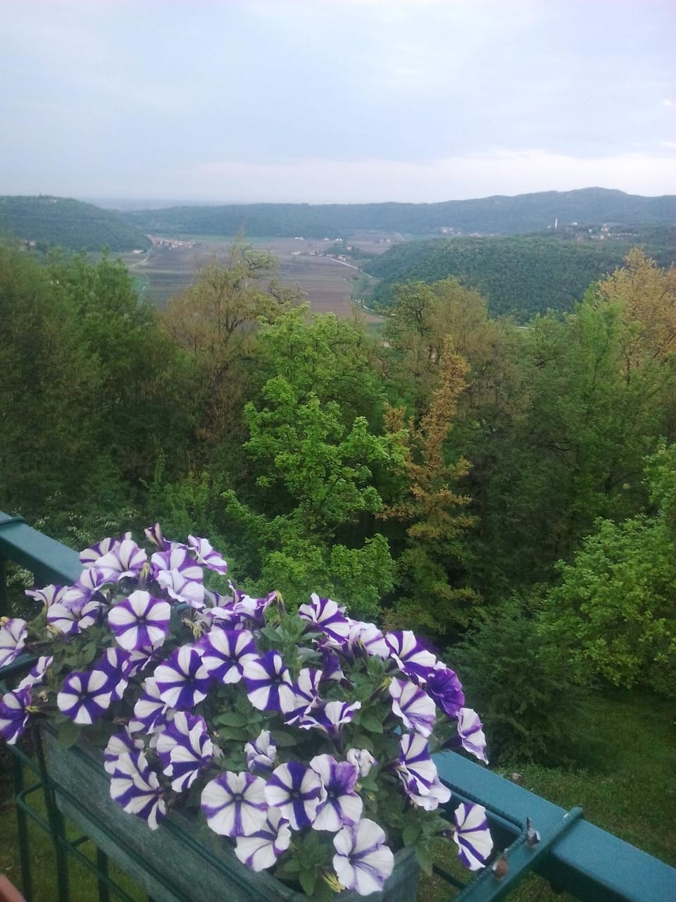 View (from property/room)