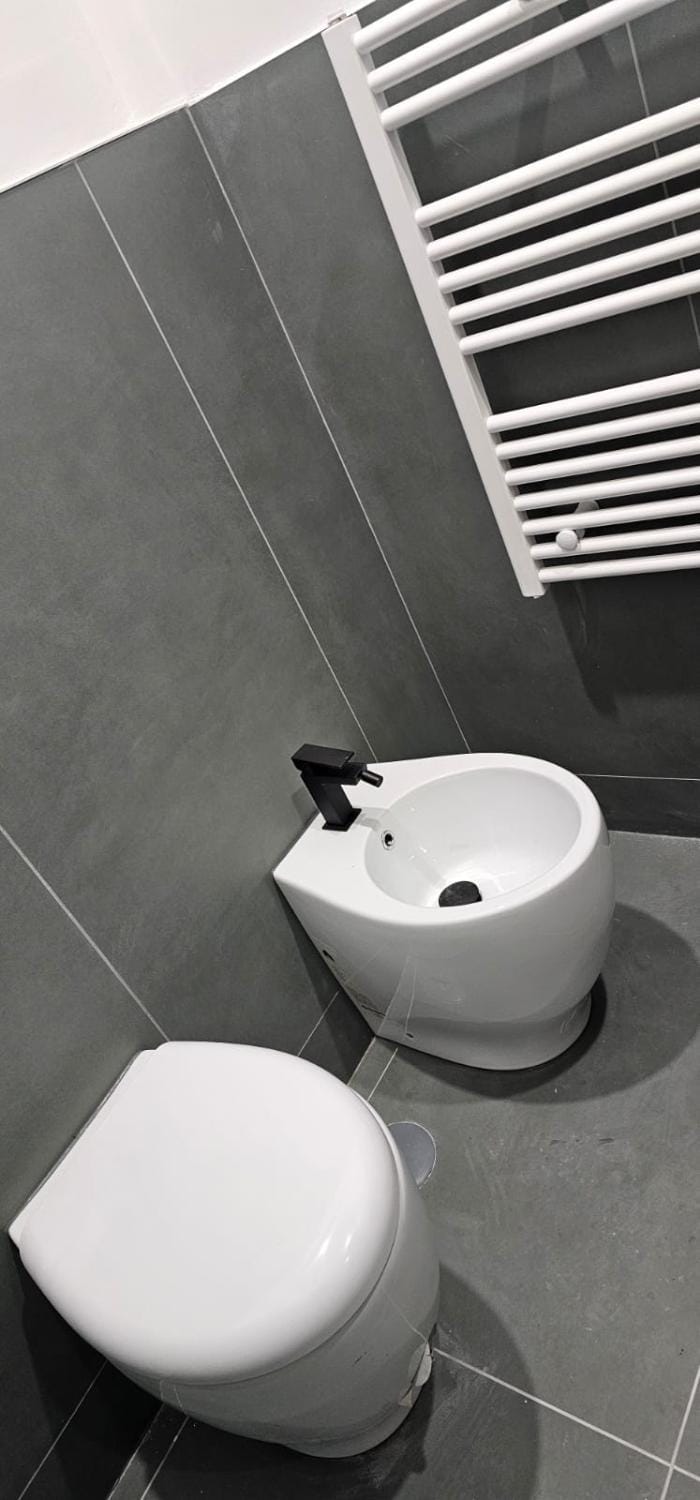 Toilet, Bathroom, bidet