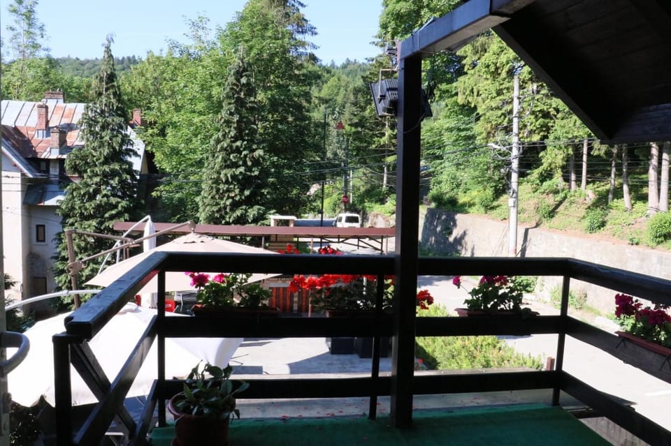 Casa Anne Marie Bed and Breakfast in Sinaia