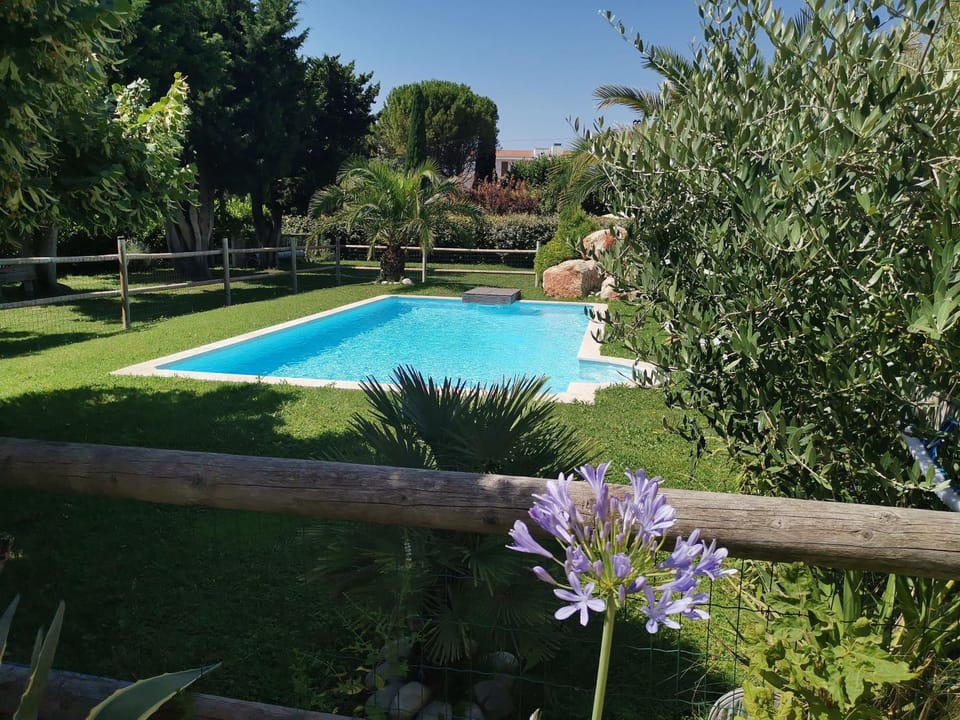 Spring, Day, Natural landscape, Garden, Garden view, Pool view, Swimming pool