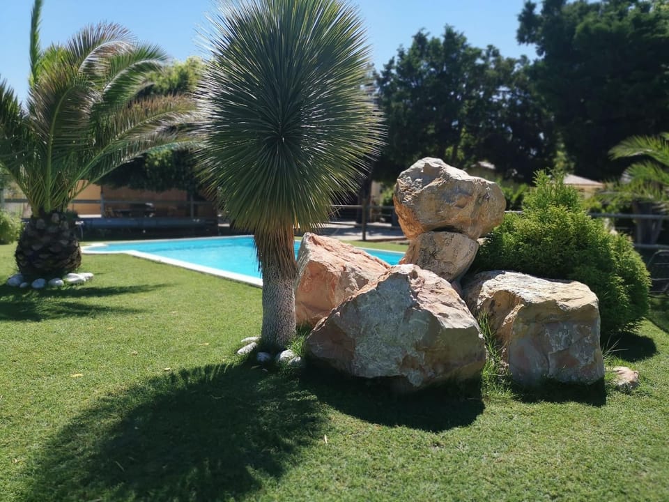 Spring, Day, Natural landscape, Garden, Garden view, Pool view, Swimming pool, sunbed