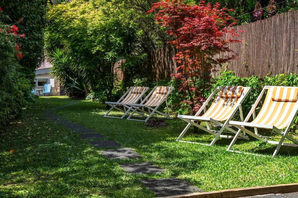 Spring, Garden, Garden view, sunbed
