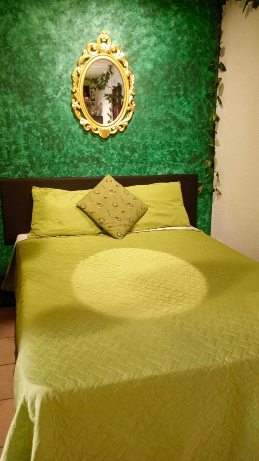"The Enchanted Forest" inside The Alchemist Café - Shuttle services available Bed and Breakfast in Antigua Guatemala