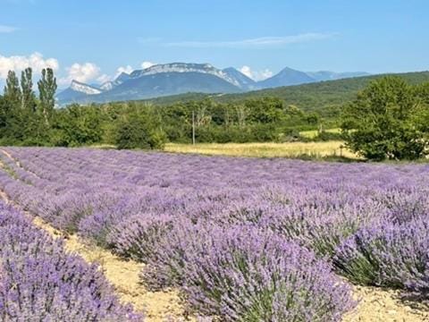Natural landscape, Mountain view