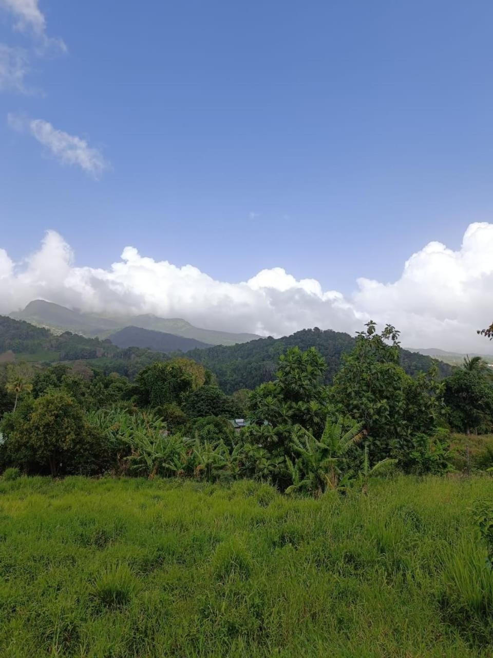 Nearby landmark, Natural landscape, Mountain view