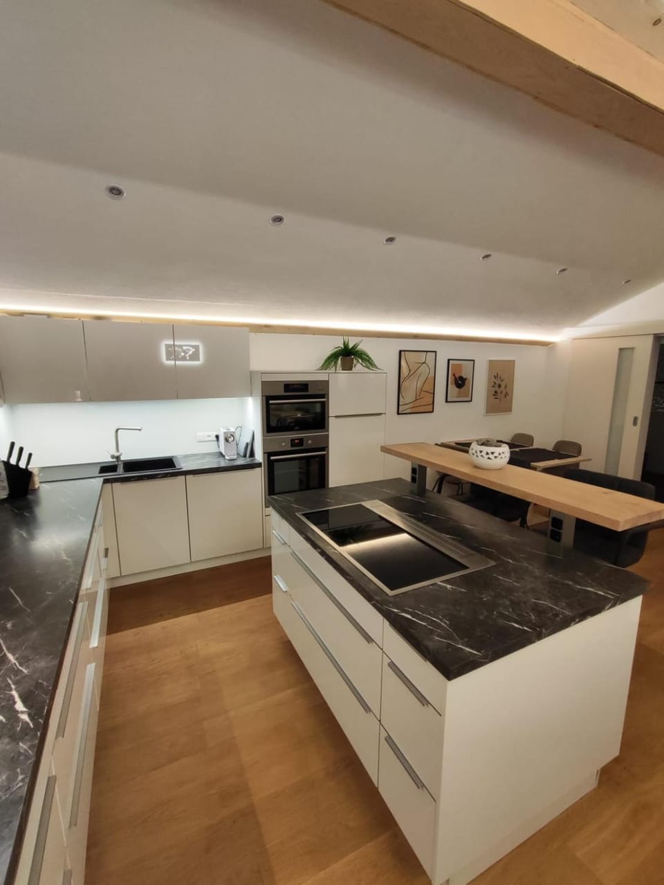 Kitchen or kitchenette, dishwasher, minibar, stove