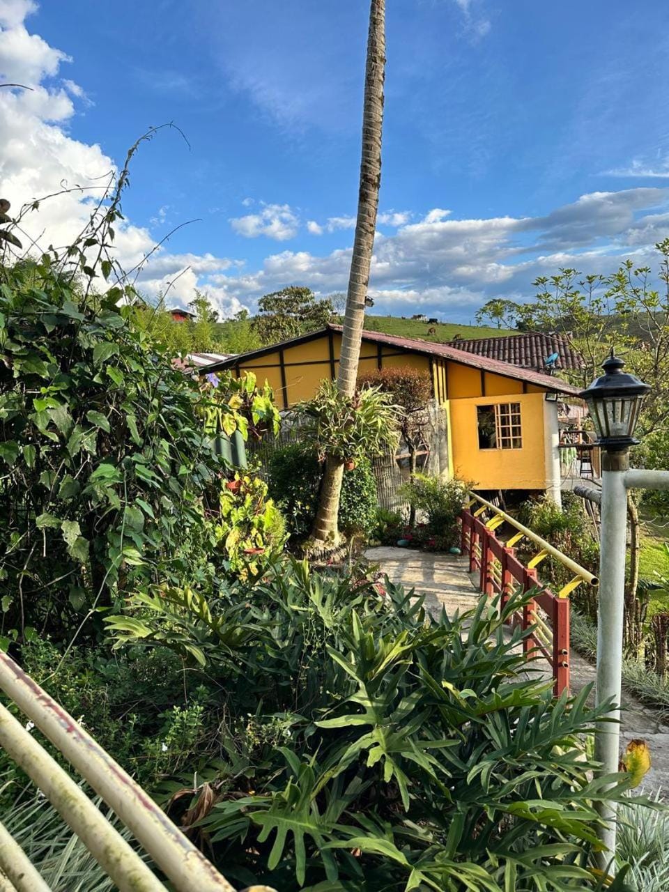 Property building, Garden view