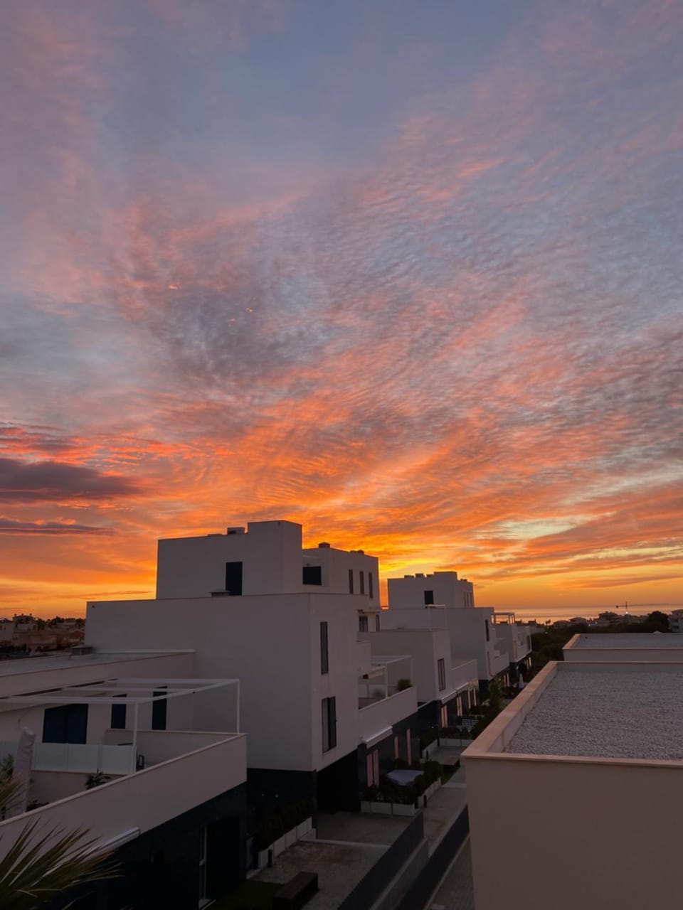Property building, Sunrise