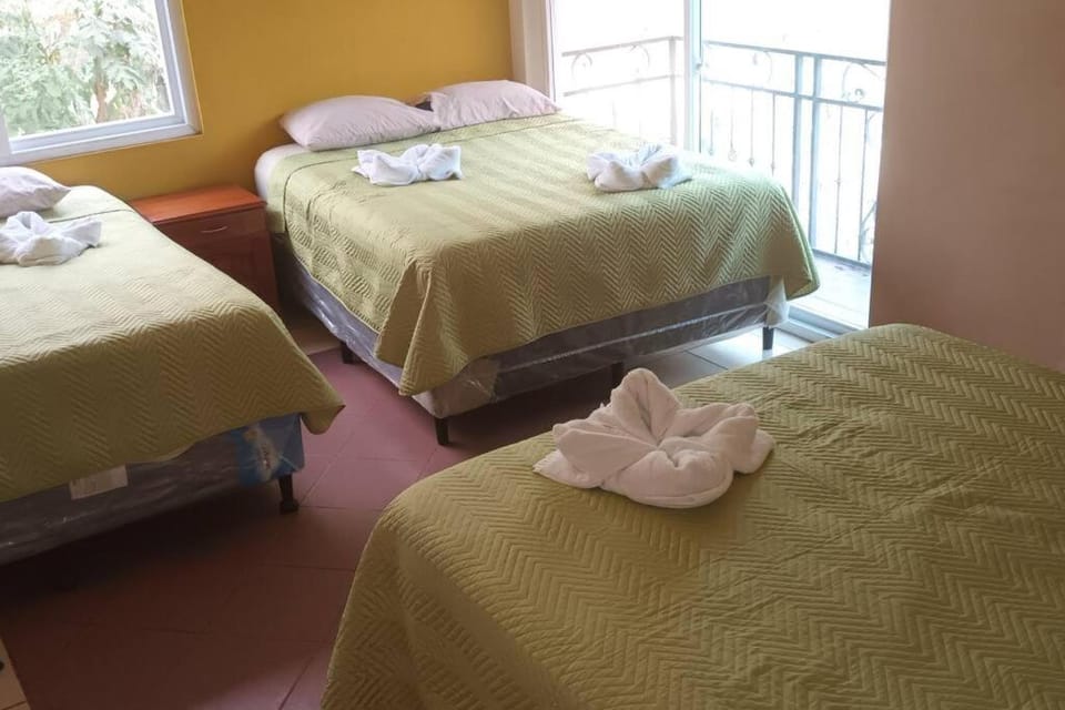 Bed, Photo of the whole room, towels