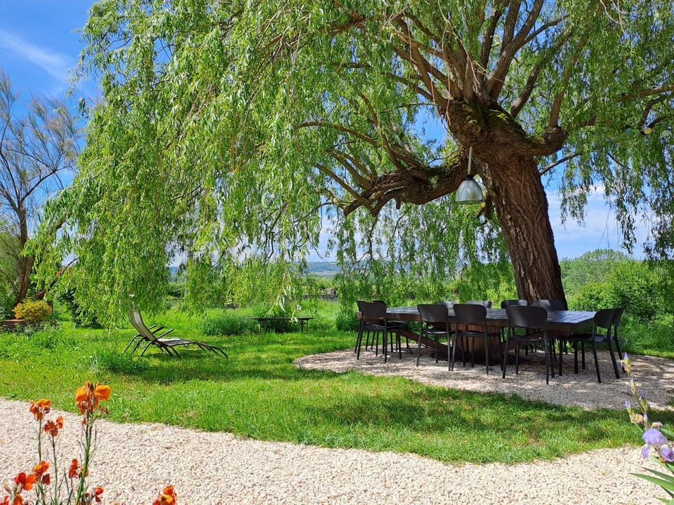Garden view