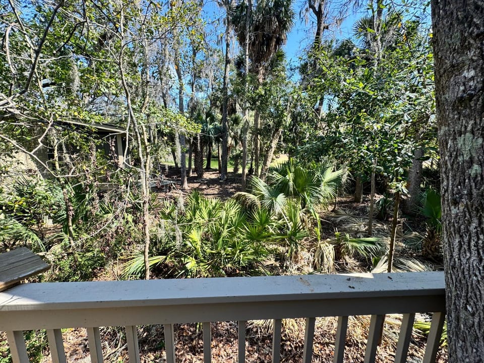 28 Night Heron - Two bedroom, two bath, pet friendly, 5 min walk to beach and pool House in Hilton Head Island