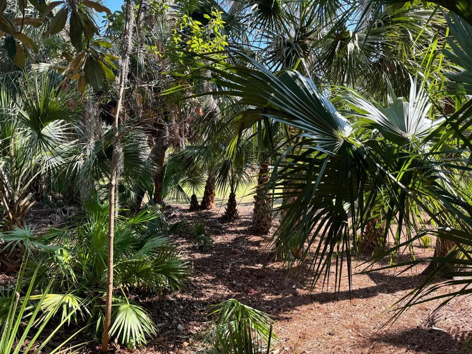 28 Night Heron - Two bedroom, two bath, pet friendly, 5 min walk to beach and pool House in Hilton Head Island