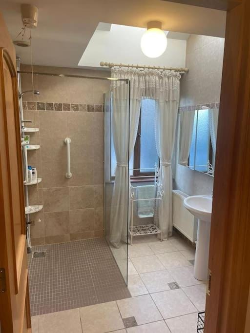 Borodino Studio Apartment Apartment in Ireland