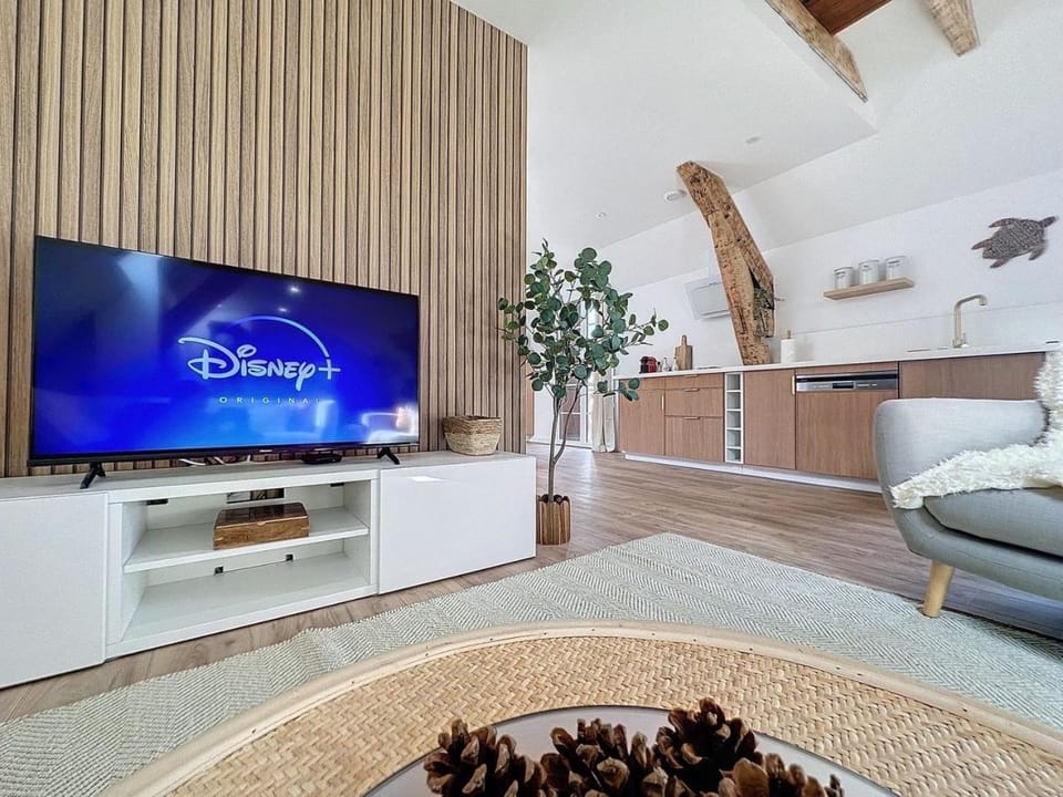 TV and multimedia
