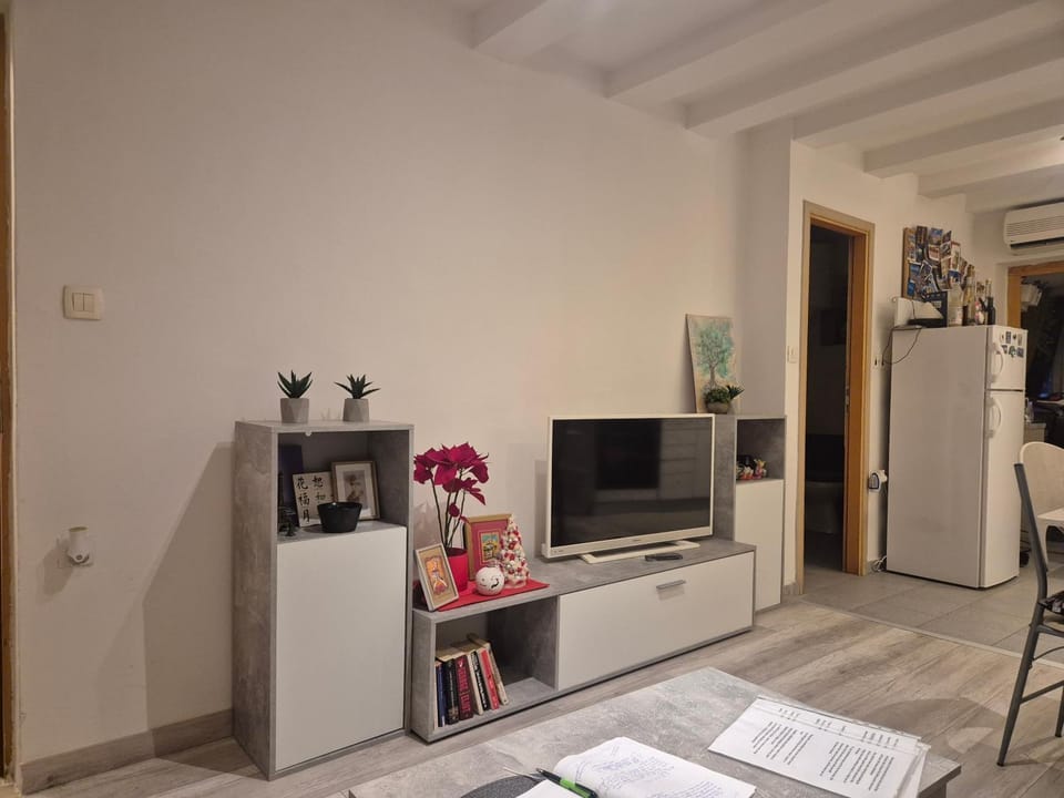 Communal lounge/ TV room, TV and multimedia