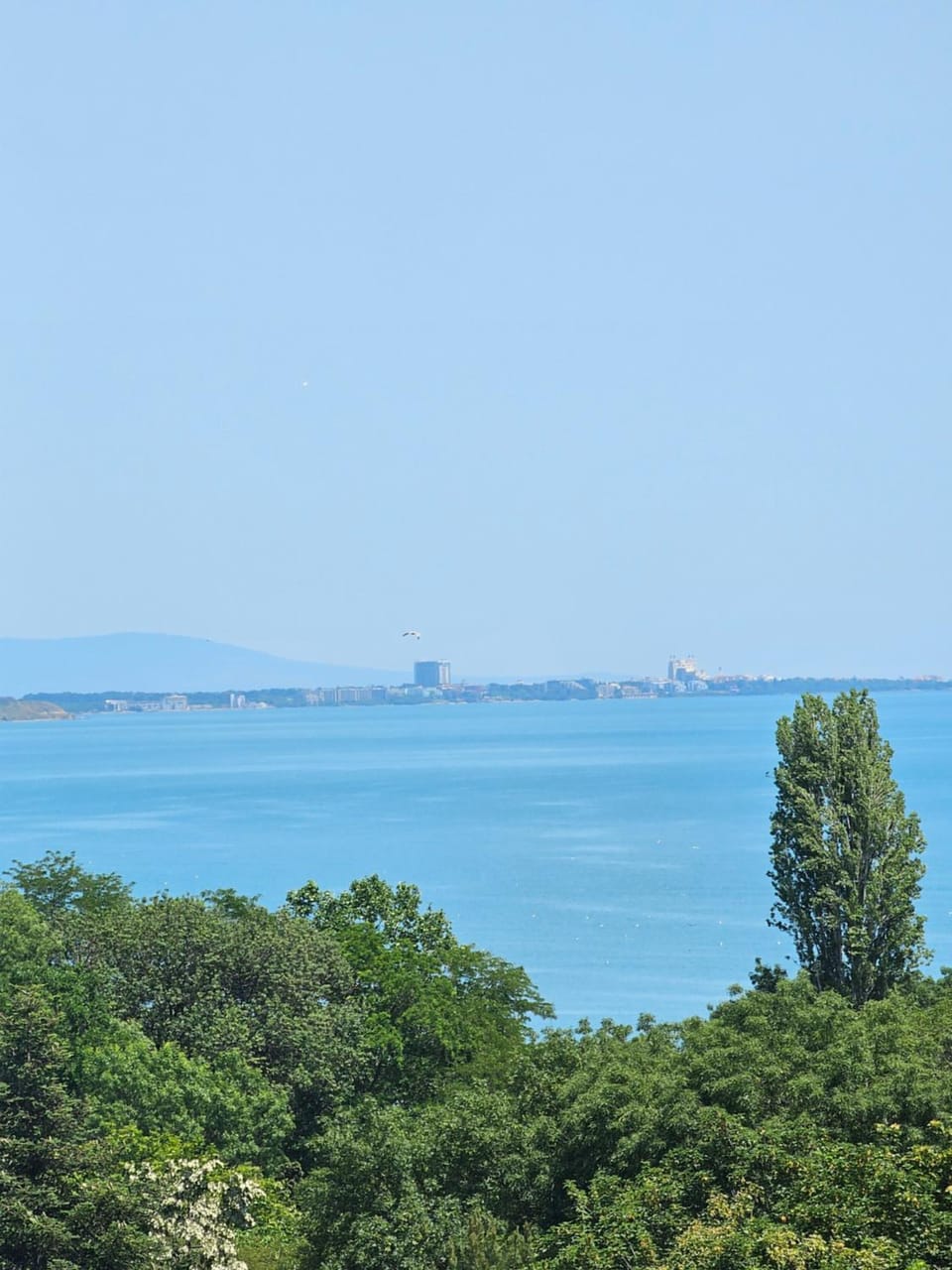 Sea view
