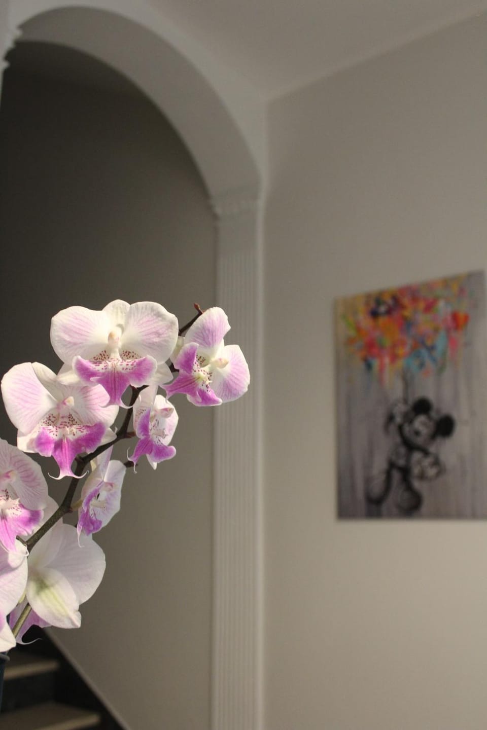 Casa Elvira Bed and Breakfast in Emilia-Romagna