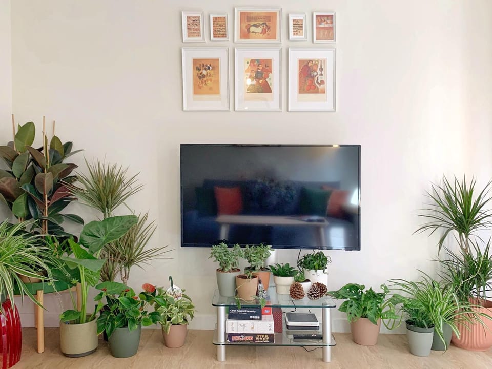 TV and multimedia