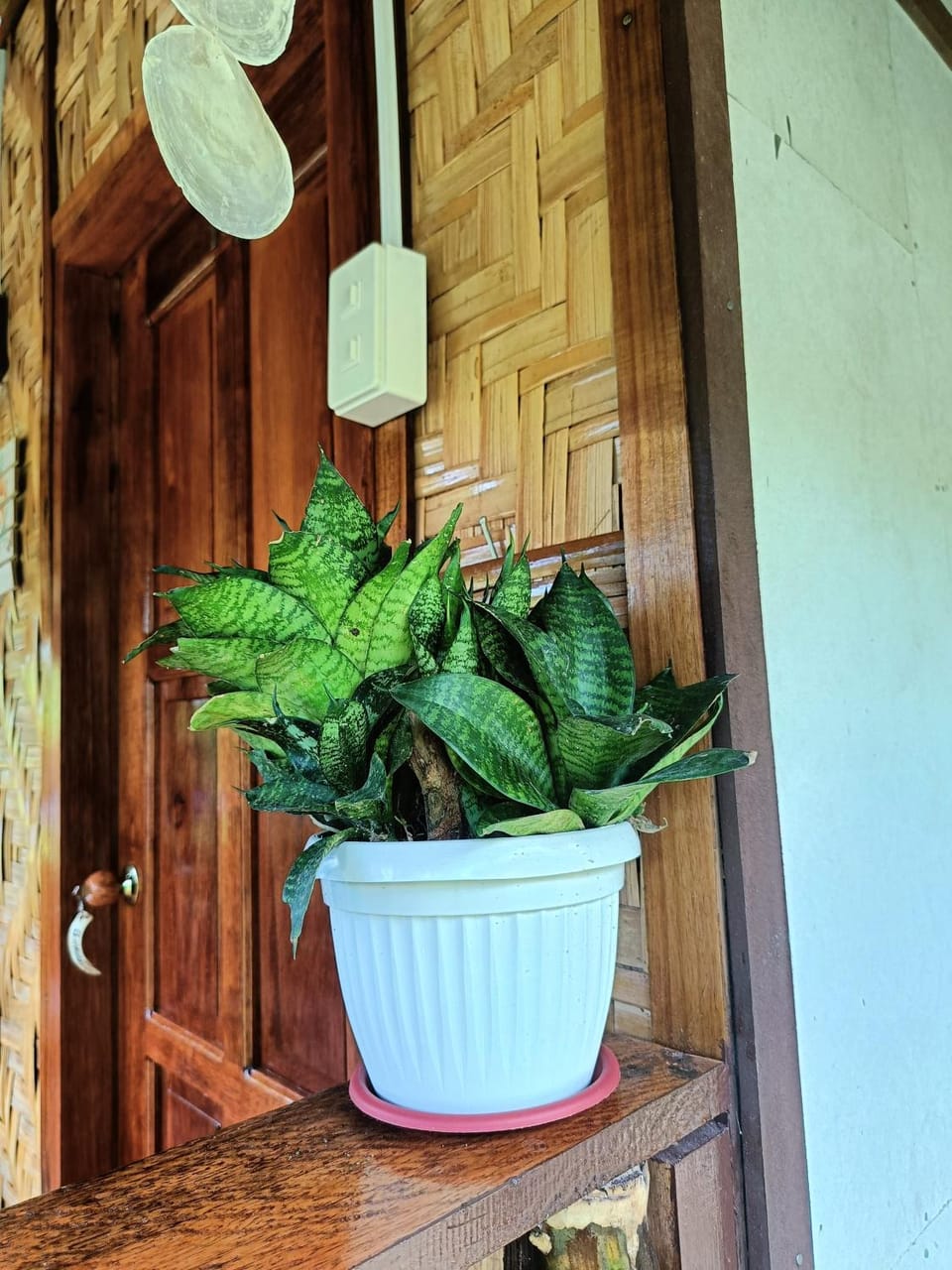 Garden, Garden view