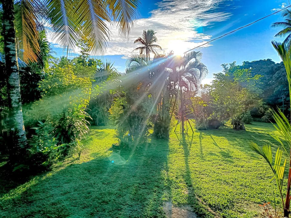 Day, Natural landscape, Garden, Garden view