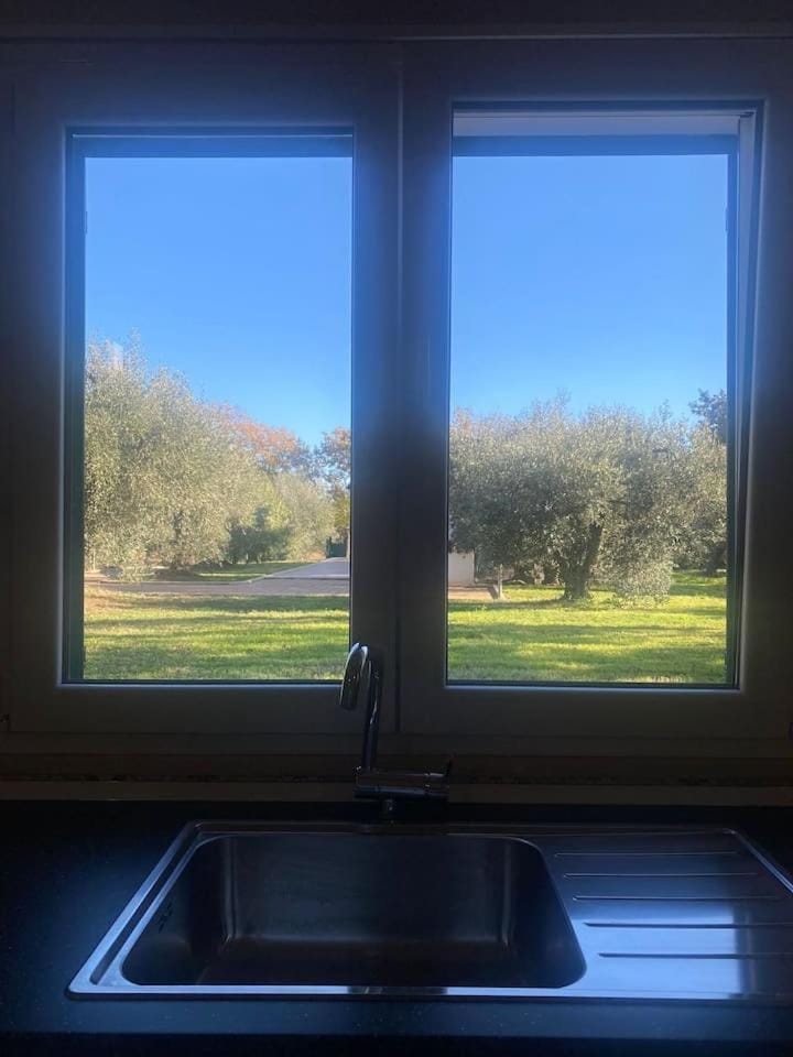 Day, Natural landscape, Garden, Kitchen or kitchenette