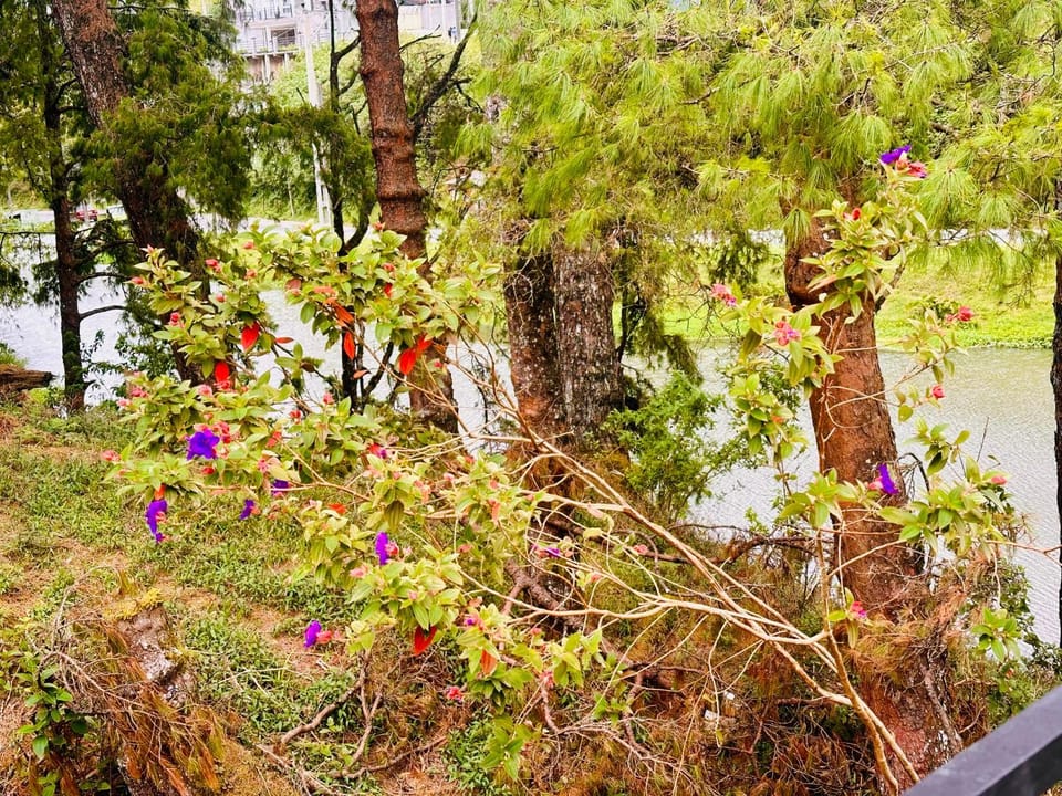 Natural landscape