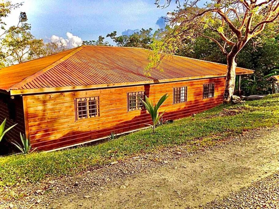Casa Café Roatan, Honduras Apartment in Bay Islands Department