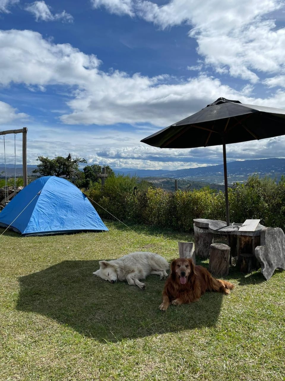 Garden view