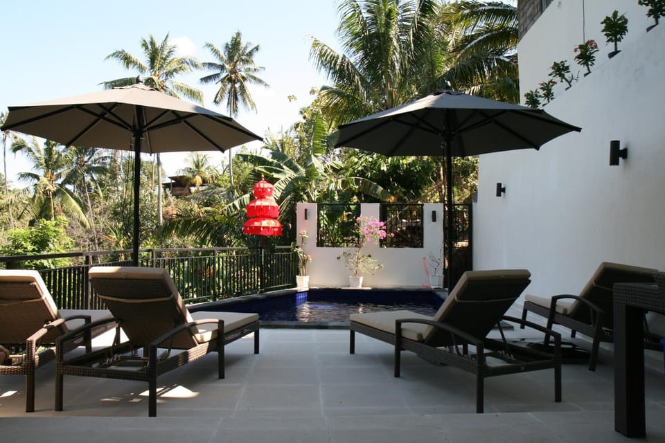 Patio, Day, Garden, Garden view, sunbed