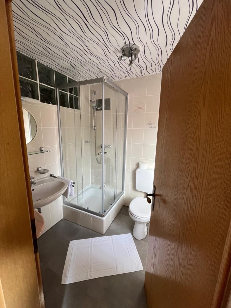 Shower, Toilet
