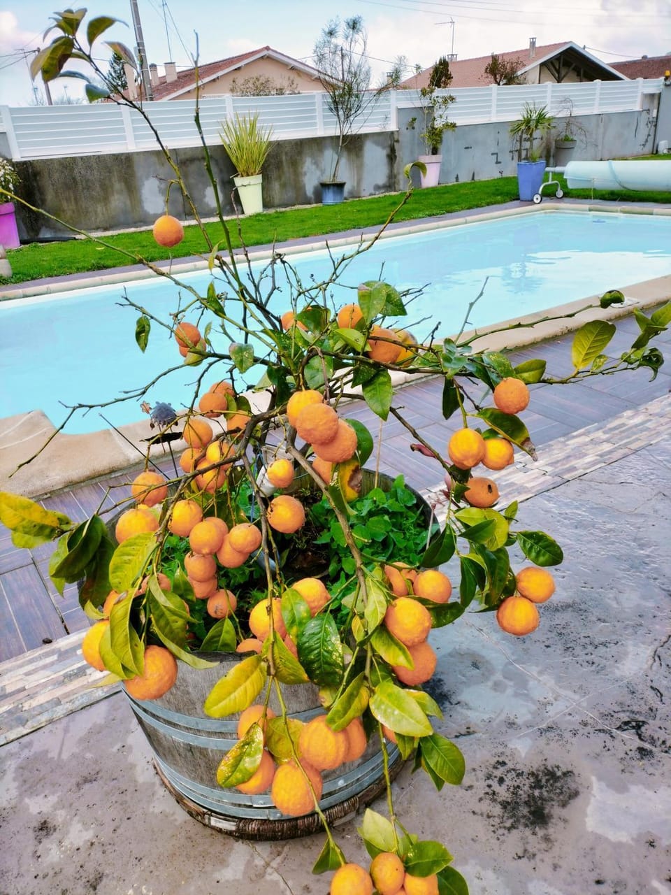 Swimming pool