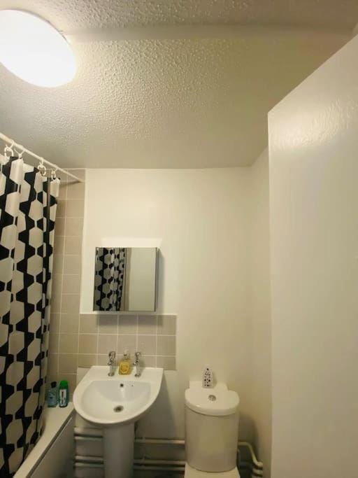 Spacious One Bedroom Flat close to Heathrow Airport Apartment in London Borough of Ealing