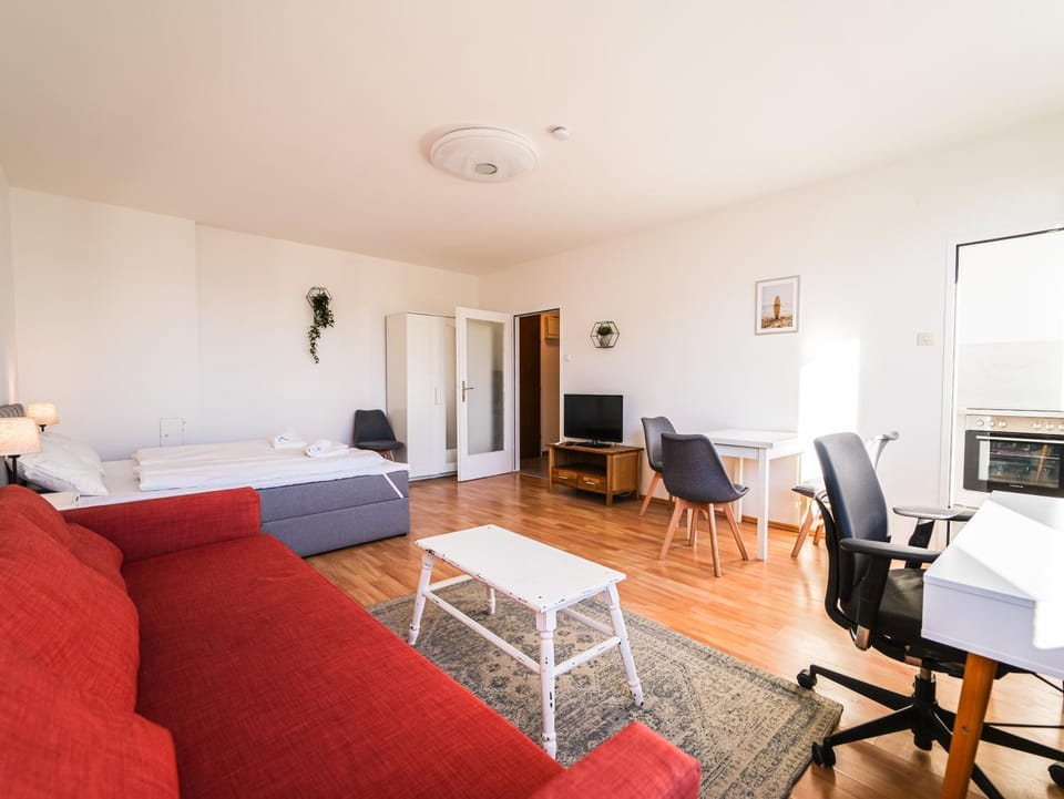 Communal lounge/ TV room, Bed, Kitchen or kitchenette, Living room, Decorative detail, Seating area, Dining area, Evening entertainment, Bedroom