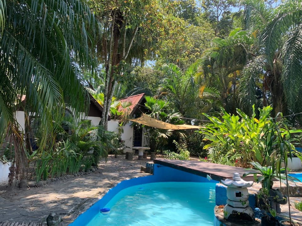 Garden view