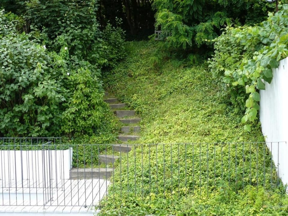Garden, Garden view