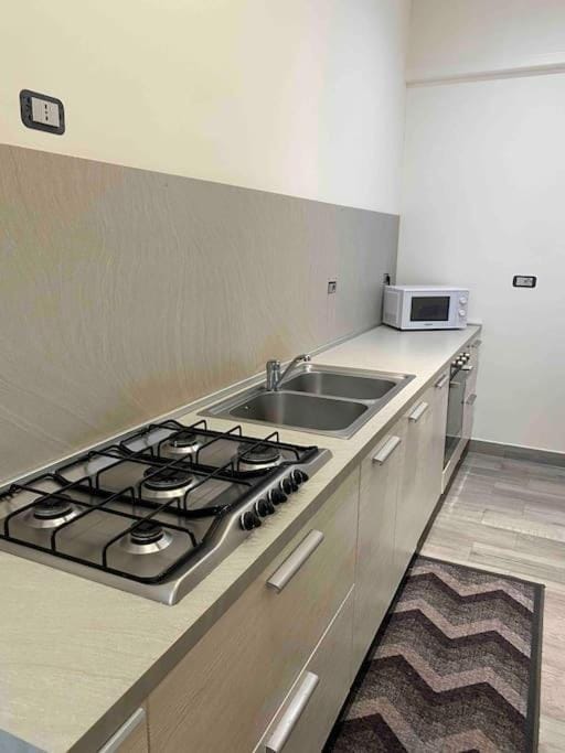 Kitchen or kitchenette, minibar, pet friendly, stove