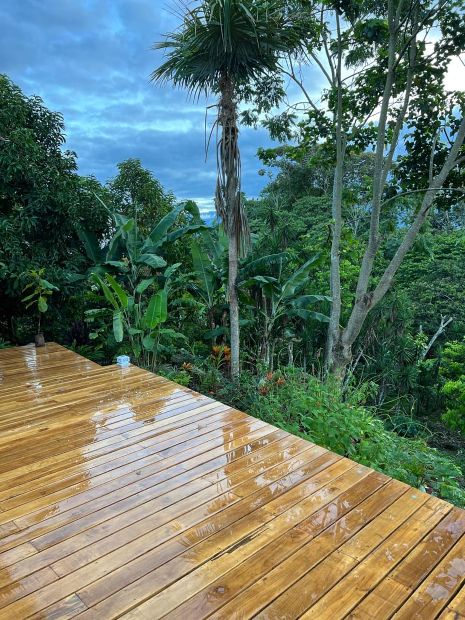 Patio, Balcony/Terrace