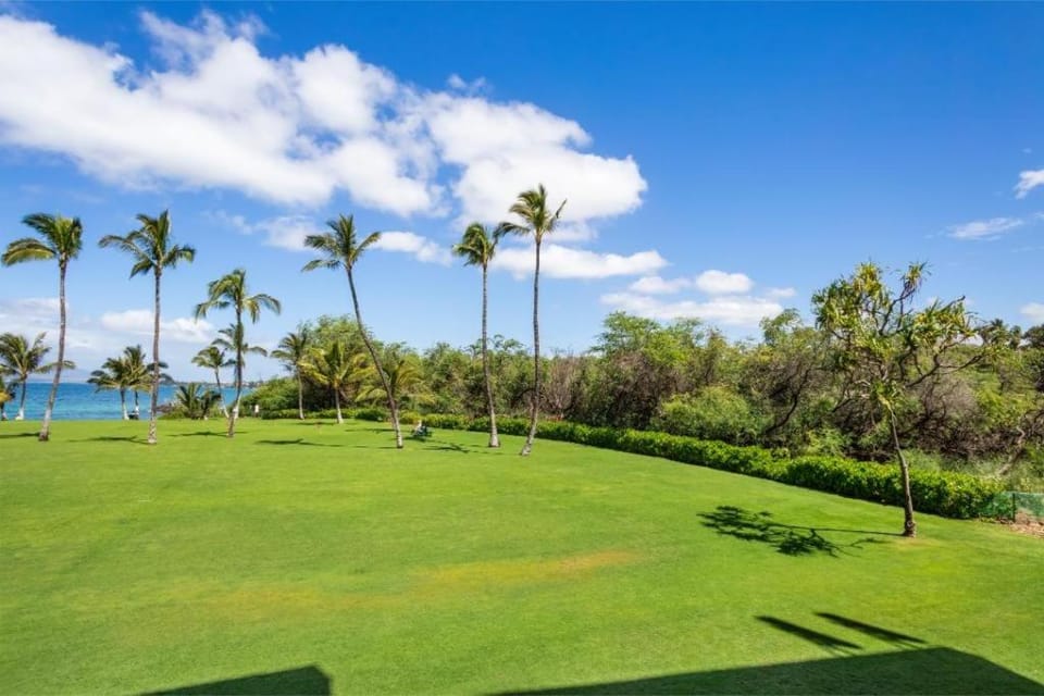KIHEI SURFSIDE, #213 Apartment in Wailea