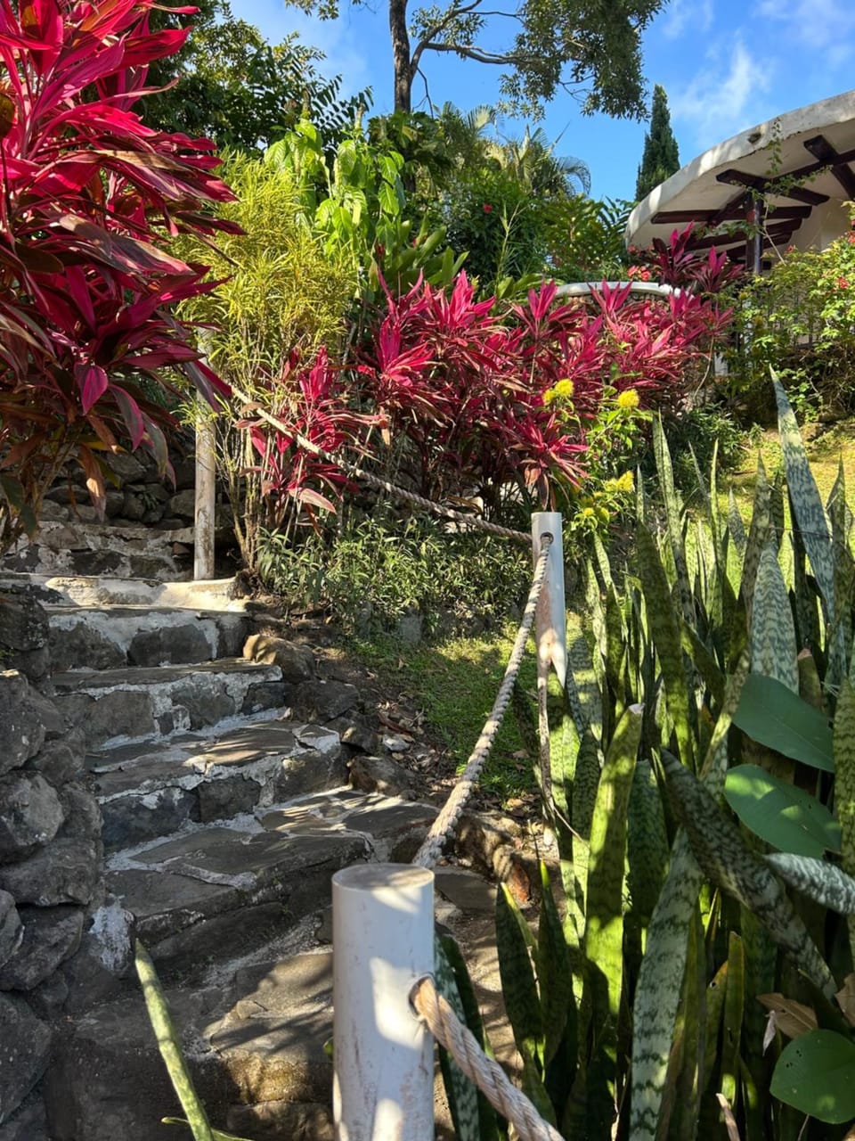 Jangle House with big terrace in Altos del Maria Villa in Panama