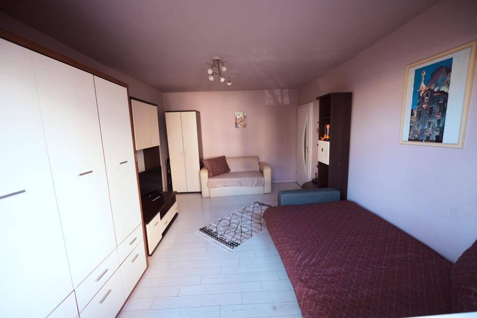 Rouge by G /Centrul de Afaceri&Stadion Apartment in Timisoara