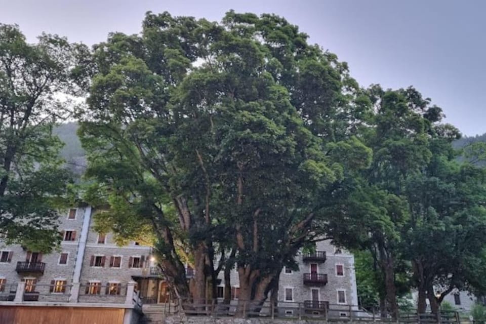 Appartamenti e camere del Re e della Regina - Grand Hotel Ceresole Reale Apartment in Piedmont