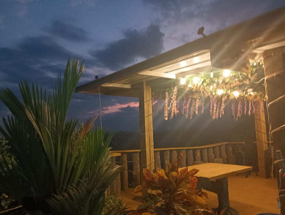Patio, Night, Natural landscape, View (from property/room)